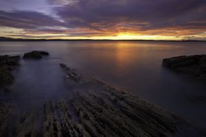 Mossyard Sunrise # 6